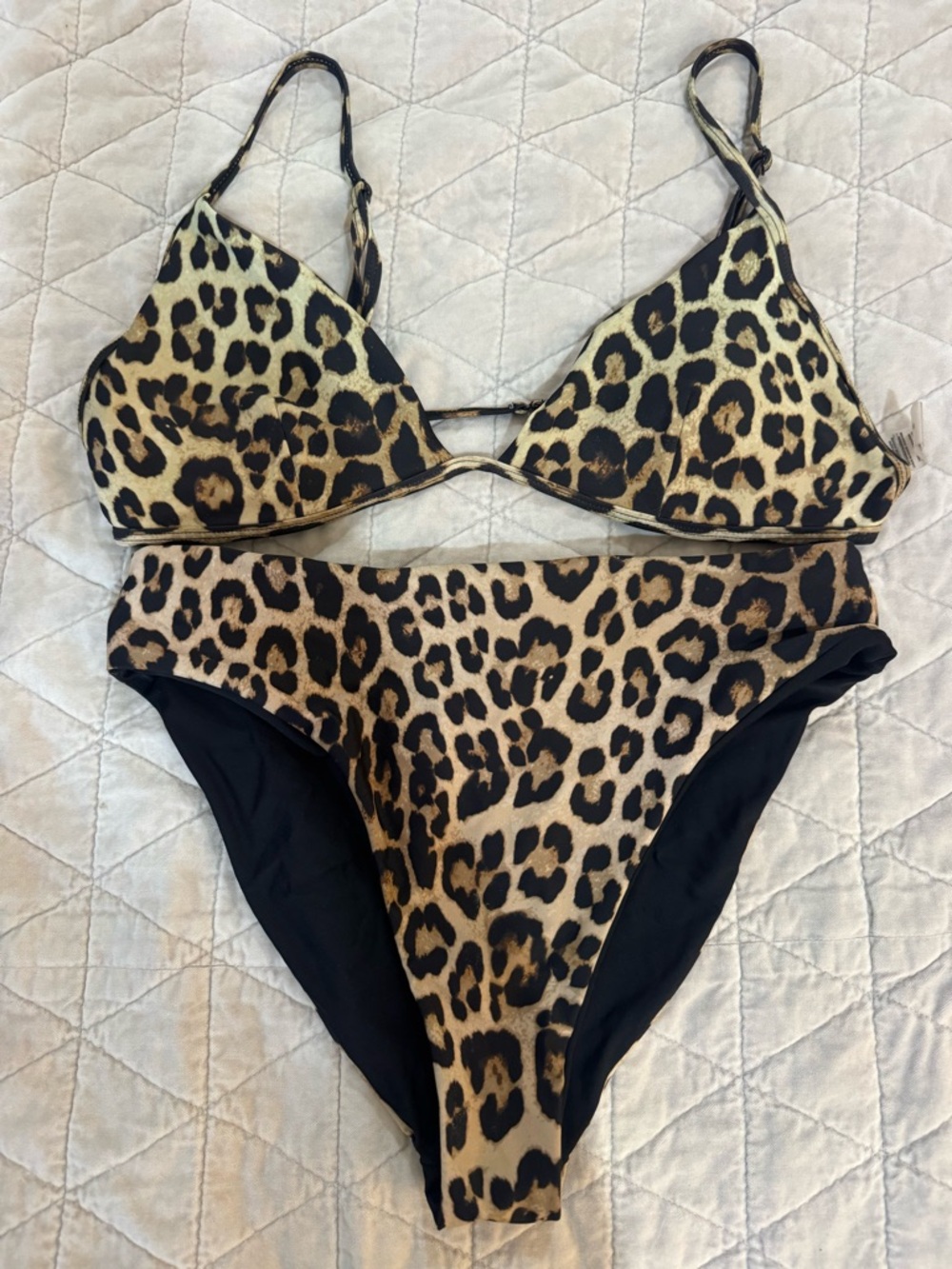 Leopard Print Two-Piece Bikini Set
